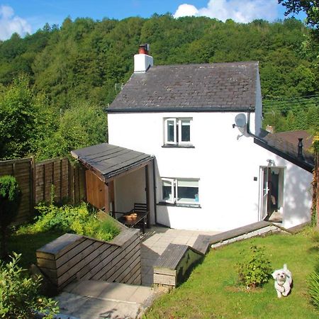 Peacock Cottage Cinderford المظهر الخارجي الصورة
