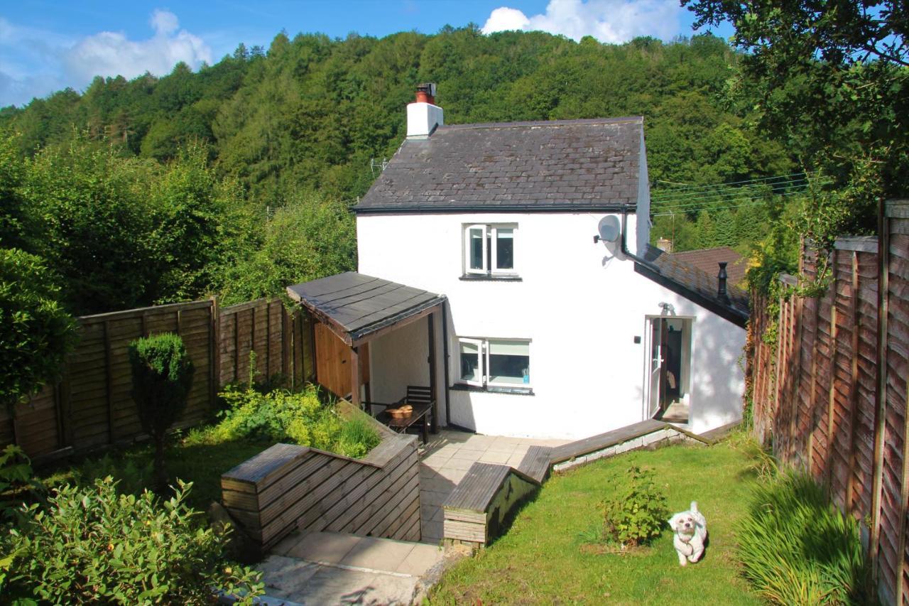 Peacock Cottage Cinderford المظهر الخارجي الصورة