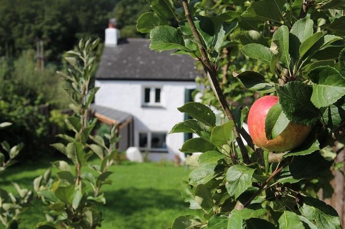 Peacock Cottage Cinderford الغرفة الصورة